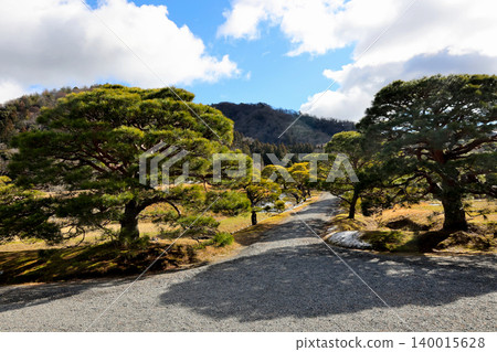 修學院皇室別墅、日式庭園、樹木 修學院皇室別墅、日式庭園、樹木 140015628