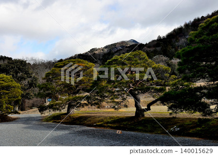 修學院皇室別墅、日式庭園、樹木 修學院皇室別墅、日式庭園、樹木 140015629