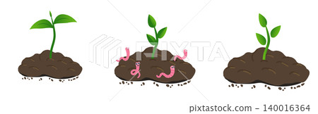 Small plant growing in the ground and Earthworm. Worm and young green plant. Vector illustration in flat style, isolated on a white background. Small plant growing in the ground and Earthworm. Worm and young green plant. Vector illustration in flat style, isolated on a white background. 140016364