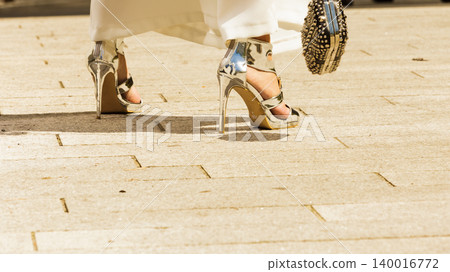 Silver high heels, purse and culottes Silver high heels, purse and culottes 140016772