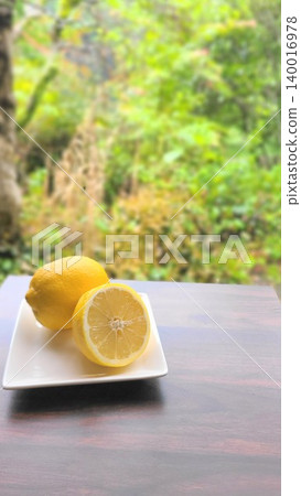 Against a backdrop of fresh greenery, vibrant lemons (whole and sliced) are arranged on a white plate. Against a backdrop of fresh greenery, vibrant lemons (whole and sliced) are arranged on a white plate. 140016978
