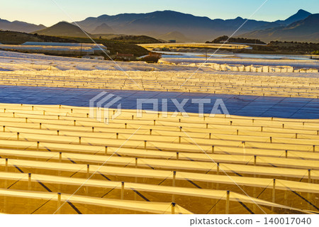 Greenhouses stretch over landscape as the sun rises in the background near a mountainous area 140017040