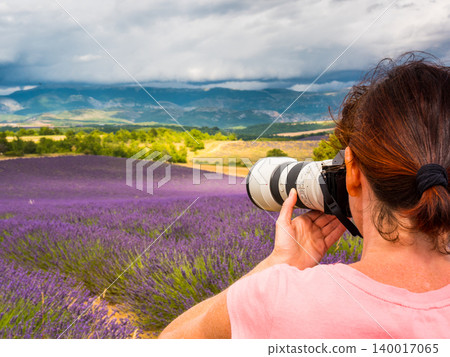 Woman take photo on lavender field, Provence France Woman take photo on lavender field, Provence France 140017065