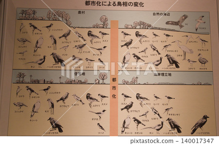 Diagram of common Japanese birds in human-developed environments. 140017347