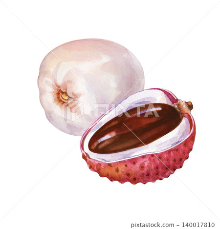 Watercolor lychee fruit composition. Isolated tropical litchi slice illustration. For organic food packaging, juice branding, and healthy dessert menus. Watercolor lychee fruit composition. Isolated tropical litchi slice illustration. For organic food packaging, juice branding, and healthy dessert menus. 140017810