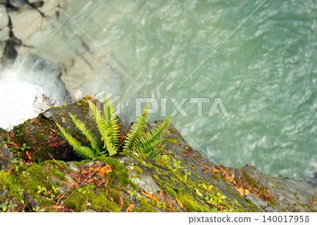Turquoise river in a mountain canyon in fall rainforest. 140017958