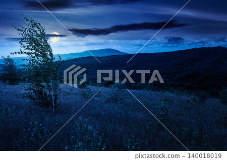 tree on a field in mountain landscape at night. full moon over green countryside of ukraine in summer. cloudy weather. carpathian landscape in dappled light. mysterious carpathian highland tree on a field in mountain landscape at night. full moon over green countryside of ukraine in summer. cloudy weather. carpathian landscape in dappled light. mysterious carpathian highland 140018019