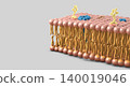 Membrane section of fluid lipid layers and subtle molecular detail - 3d illustration 140019046