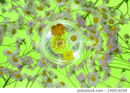 Background material: Flowers, wildflowers, close-up, spring image Background material: Flowers, wildflowers, close-up, spring image 140019209