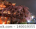 Senso-ji Temple in the rain and cherry blossoms at night 140019355