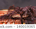 Senso-ji Temple in the rain and cherry blossoms at night 140019365
