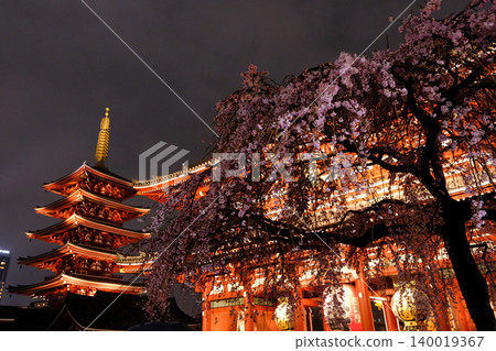 東京淺草寺寶藏門和五重塔在春雨綿綿的夜晚燈火通明,夜晚的櫻花也映入眼簾。 東京淺草寺寶藏門和五重塔在春雨綿綿的夜晚燈火通明,夜晚的櫻花也映入眼簾。 140019367