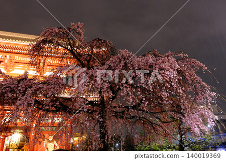 雨中的淺草寺和夜晚的櫻花 雨中的淺草寺和夜晚的櫻花 140019369