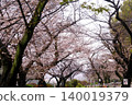 The cherry blossom trees in Sumida Park create a tunnel of cherry blossoms. 140019379