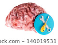 Human brain with tools icon. Brain repair neurorehabilitation cognitive recovery and mental health service concept, 3d rendering 140019531