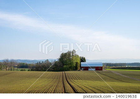 Hokkaido in early summer: vast farmlands Hokkaido in early summer: vast farmlands 140019638