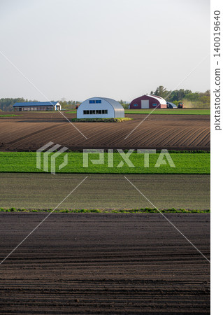 Hokkaido in early summer: vast farmlands Hokkaido in early summer: vast farmlands 140019640