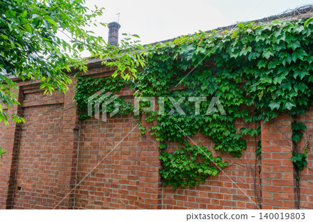Bricks and chimneys Bricks and chimneys 140019803