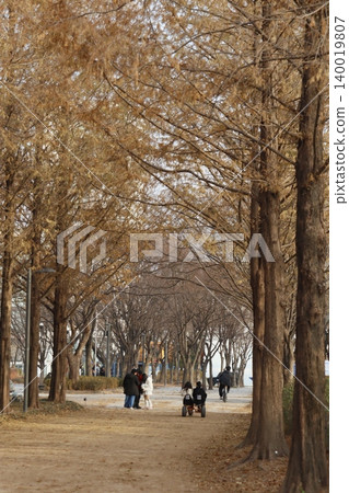 Autumnal Tree Path with Pedestrians Autumnal Tree Path with Pedestrians 140019807