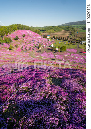 Higashimokoto Shibazakura Park in full bloom 140020108