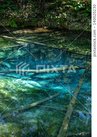 Mysterious Spring, God's Child Pond Mysterious Spring, God's Child Pond 140020230