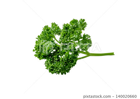 Close-up cutout photo of parsley leaves used for garnishing food. Close-up cutout photo of parsley leaves used for garnishing food. 140020660