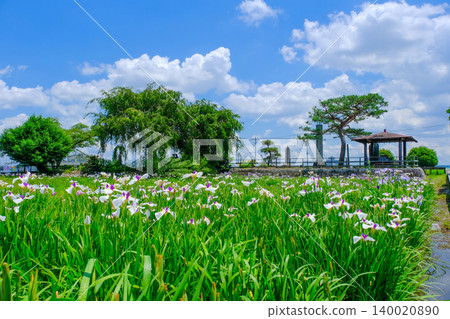 菖蒲城遺址上的菖蒲庭園 140020890