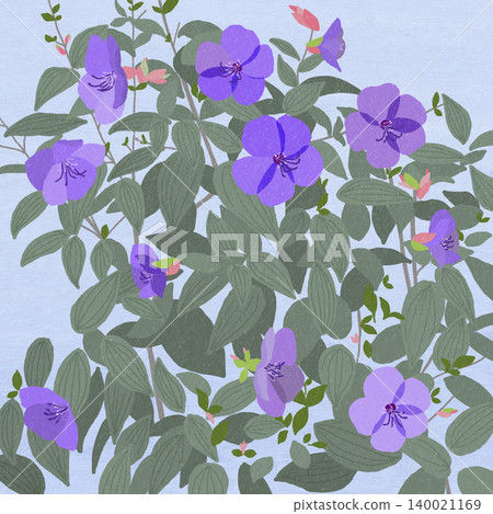 手繪花卉插圖：蒂布奇納·烏爾維利亞納 140021169