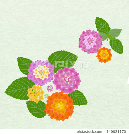 手繪花卉插圖：馬纓丹 140021170