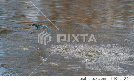 The moment the kingfisher took off The moment the kingfisher took off 140021244