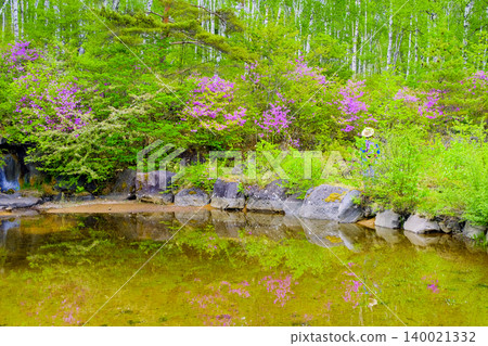 Pond wrapped in fresh green Pond wrapped in fresh green 140021332