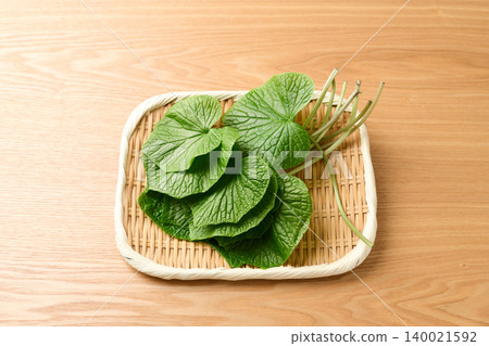 放在篩子上的山葵葉 放在篩子上的山葵葉 140021592