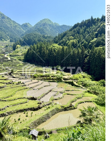 Rice terraces in Yotsuya Senmaida (Shinshiro City, Aichi Prefecture), adorned with a clear blue sky and fresh greenery on a sunny May day, immediately after rice planting. Rice terraces in Yotsuya Senmaida (Shinshiro City, Aichi Prefecture), adorned with a clear blue sky and fresh greenery on a sunny May day, immediately after rice planting. 140021633