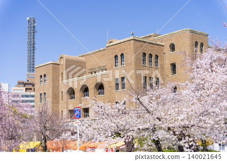 Nagoya City, Showa Ward, Tsurumai Park: Cherry blossoms and Okaya Steel Nagoya Public Hall Nagoya City, Showa Ward, Tsurumai Park: Cherry blossoms and Okaya Steel Nagoya Public Hall 140021645