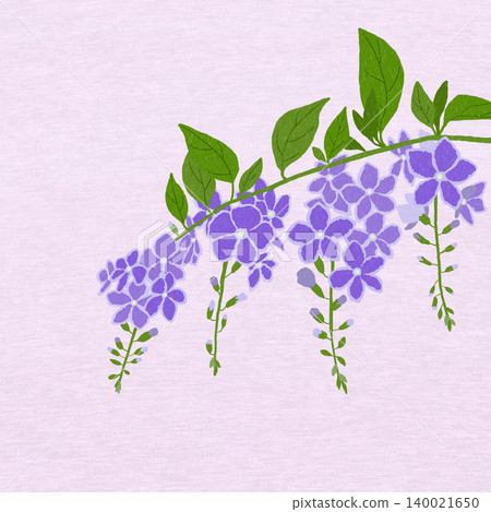 手繪花卉插圖:金露梅 手繪花卉插圖:金露梅 140021650