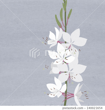手繪花卉插圖：高拉 140021654