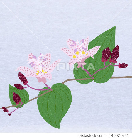 手繪花卉插圖:杜鵑花 手繪花卉插圖:杜鵑花 140021655