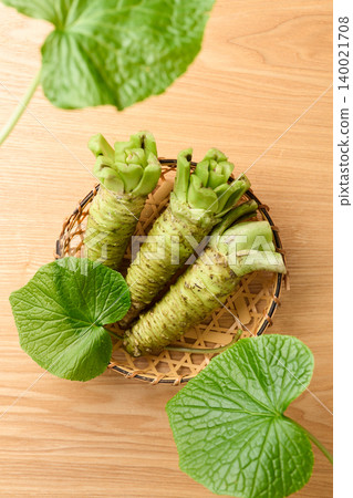 Fresh wasabi served in a basket Fresh wasabi served in a basket 140021708