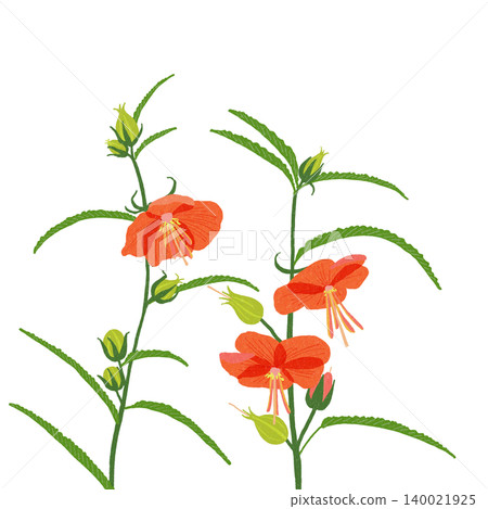 Gojika手繪花卉插圖 Gojika手繪花卉插圖 140021925