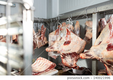 Raw beef hanging in refrigerated meat locker of butcher shop Raw beef hanging in refrigerated meat locker of butcher shop 140021996