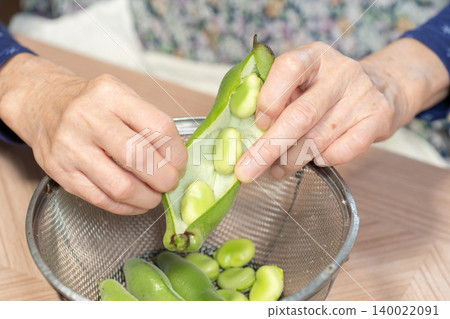 A senior woman's hands peeling broad beans. Home cooking, ingredient preparation. A senior woman's hands peeling broad beans. Home cooking, ingredient preparation. 140022091
