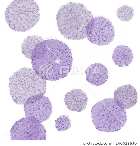 手繪花卉插圖：孔雀紫菀 140022630