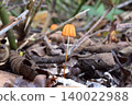 Hanaochibatake 1 140022988