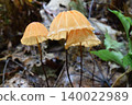 Hanaochibatake 2 140022989