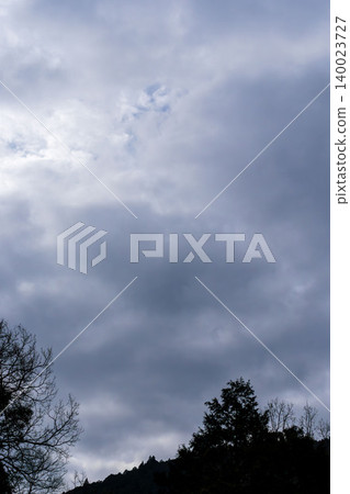 Winter cloudy sky and tree silhouettes 02 Winter cloudy sky and tree silhouettes 02 140023727