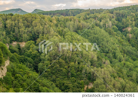 Summer Mountains Landscape with Green forest. Summer Mountains Landscape with Green forest. 140024361