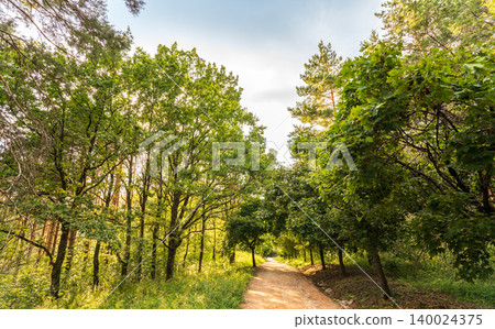 Evening atmosphere on the route full of Trees and red and green leaves Evening atmosphere on the route full of Trees and red and green leaves 140024375