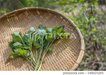 青森縣夜木田村,一籃春野菜,如艾草,擺放在竹籃中。 青森縣夜木田村,一籃春野菜,如艾草,擺放在竹籃中。 140025265