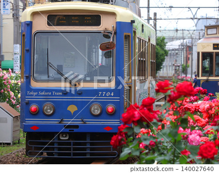 Toden Arakawa Line with blooming roses Toden Arakawa Line with blooming roses 140027640