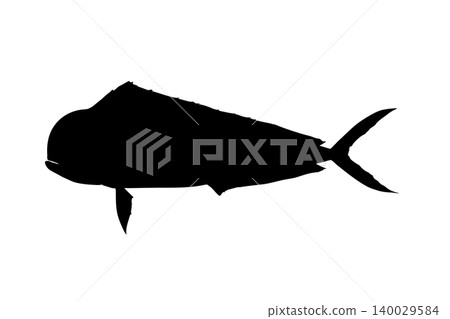 Mahi-mahi silhouette - Fish illustration material Mahi-mahi silhouette - Fish illustration material 140029584